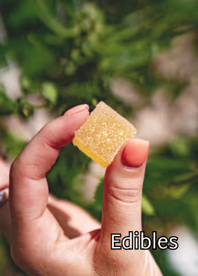 Premium Blossom Edibles Category